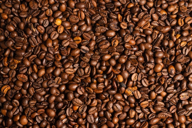 Granos de café sobre un fondo blanco Vista superior Textura de granos de café