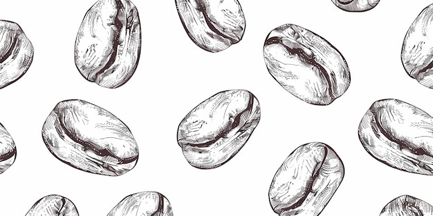 granos de café sobre un fondo blanco
