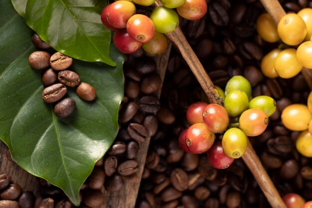 Granos de café sobre un fondo de madera