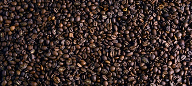 Granos de café tostados, se pueden utilizar como fondo.