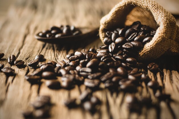 Granos de café tostados puestos en sacos.