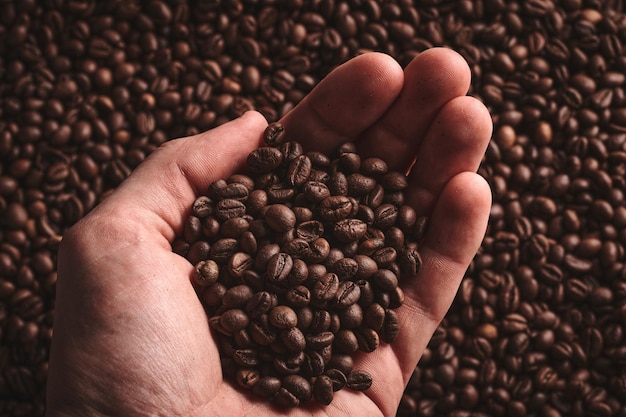 Granos de café tostados que tocan el fondo marrón de la mano humana