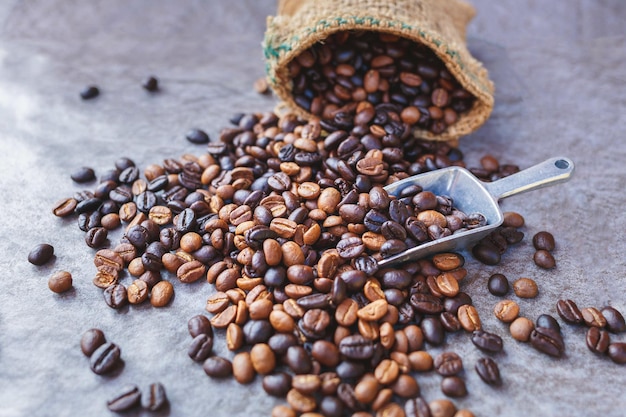 Granos de café tostados en sacos marrones