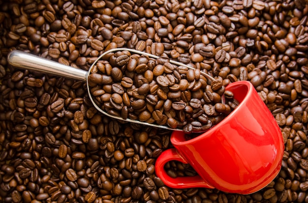 Granos de café tostados con taza roja