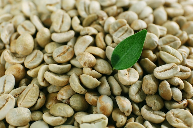 Granos de café verde con hojas verdes de cerca