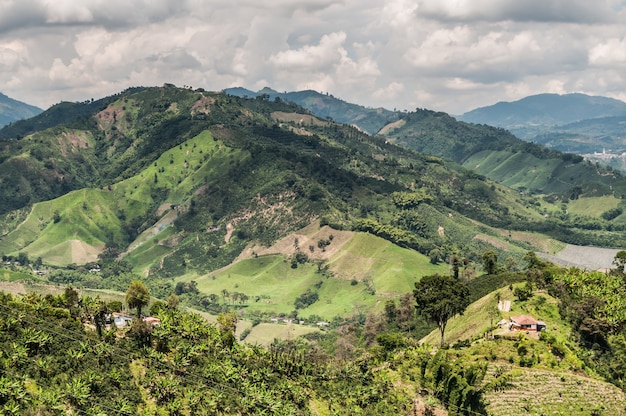 granos de café verde niebla granja agrícola Colombia