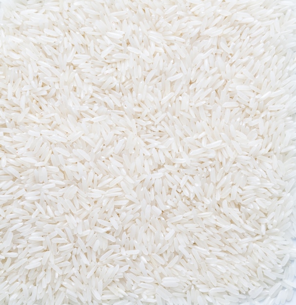 Grão de arroz (arroz de jasmim)