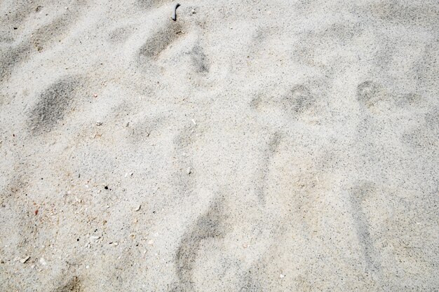 Grão sutil de areia branca lisa