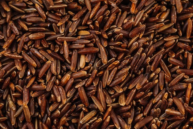 Grãos de arroz castanho