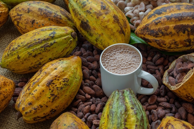 Grãos de cacau e frutas de cacau na madeira