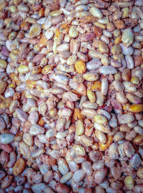 Grãos de cacau frescos ou sementes de cacau branco em cubas para preparar a fermentação antes de secar ao sol