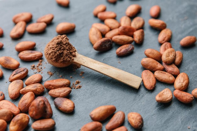 Grãos de cacau orgânico, cacau em pó em uma colher de pau e chocolate em um fundo de pedra preta