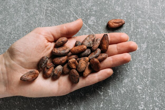 Grãos de cacau orgânico fermentados e crus para chocolate