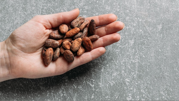 Grãos de cacau orgânico fermentados e crus para chocolate