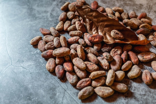 Grãos de cacau secos marrons na superfície da argamassa