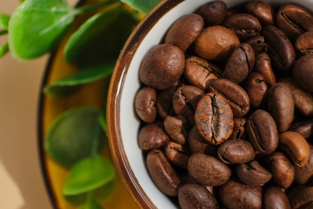 Grãos de café arábica em um copo amarelo exótico e brilhante em uma superfície bege com sombras de uma palmeira