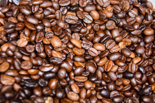 Grãos de café arábica que são torrados, assados e classificados