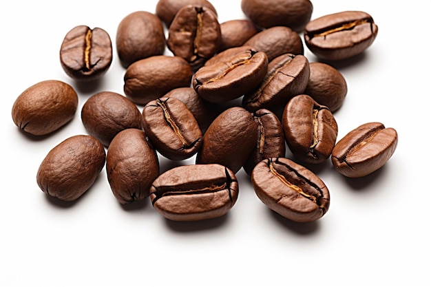 Grãos de café arábica recém-torrados de alta qualidade