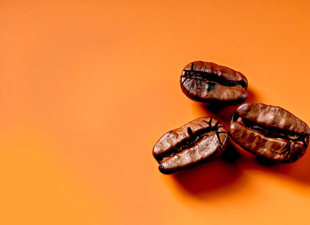 grãos de café de foto com espaço de cópia no fundo de superfície laranja