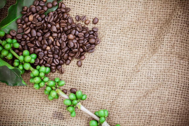 grãos de café e folhas no fundo de tela