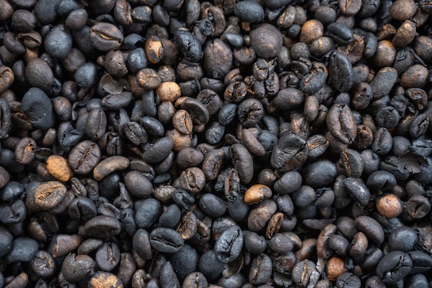 grãos de café em close-up
