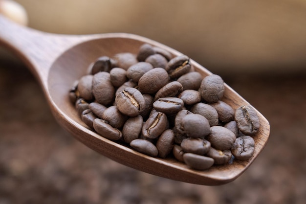 Foto grãos de café em colher de madeira