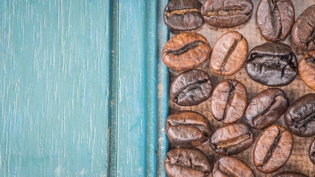 Grãos de café frescos, foco seletivo