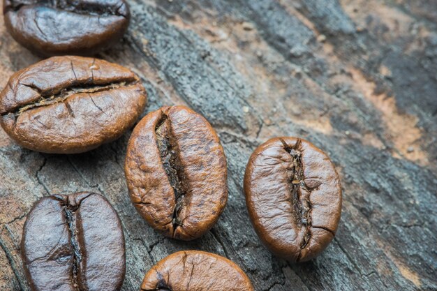 Grãos de café frescos, foco seletivo