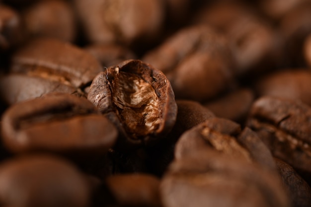 Grãos de café isolados em um fundo preto