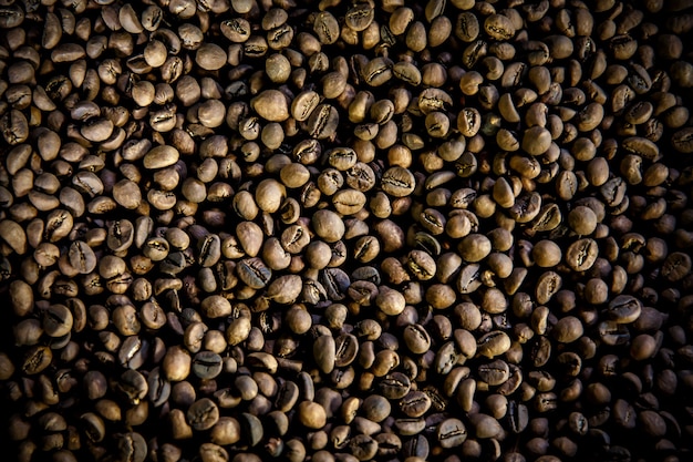 Grãos de café Luwak. Vista do topo. O lendário café de Bali, Indonésia