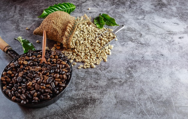 Grãos de café não torrados verdes crus em sacos marrons e grãos de café torrados em uma panela