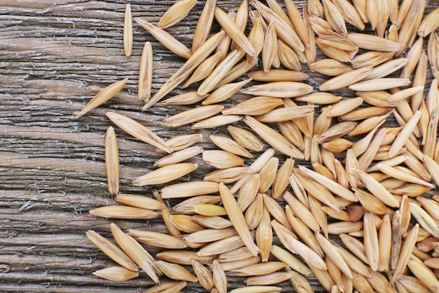 Grãos de centeio, close-up