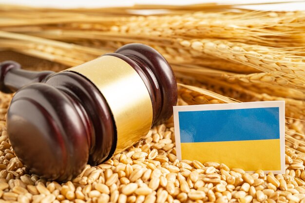 Grãos de trigo com bandeira da Ucrânia comércio de exportação e conceito de economia