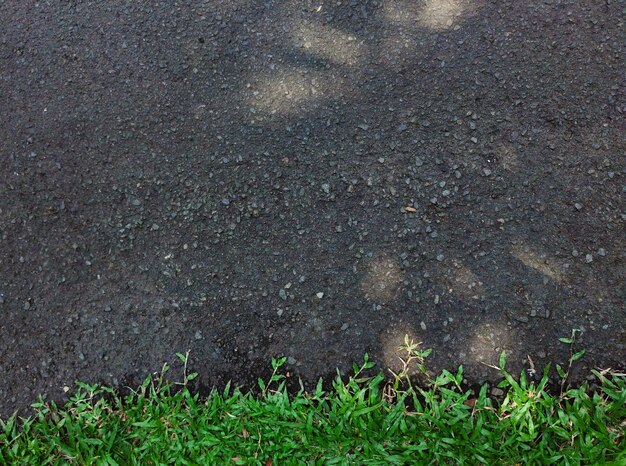 Gras am Straßenrand, bedeckt von Baumschatten