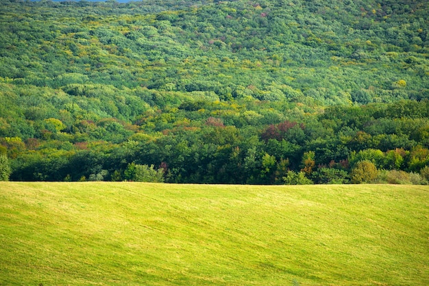 Foto gras auf grüner wiese und blauem himmel mit wolken