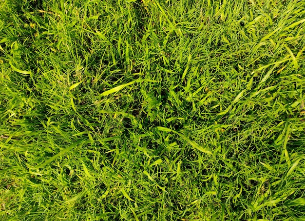 Foto gras fußballplatz hintergrundtextur