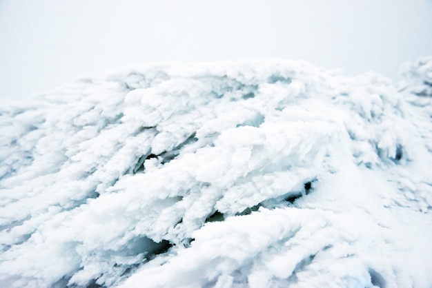 Gras im blauen Eis und Schnee. Winter Makroaufnahme