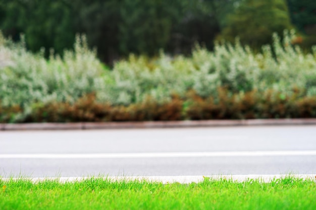 Gras isoliert Straßenspur Hintergrund hd