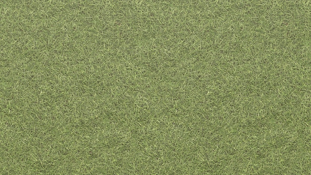 Gras Textur