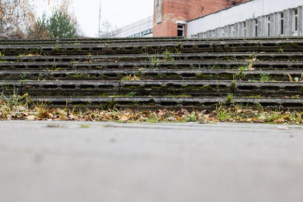 Gras und gelbe Blätter auf Betonstufen