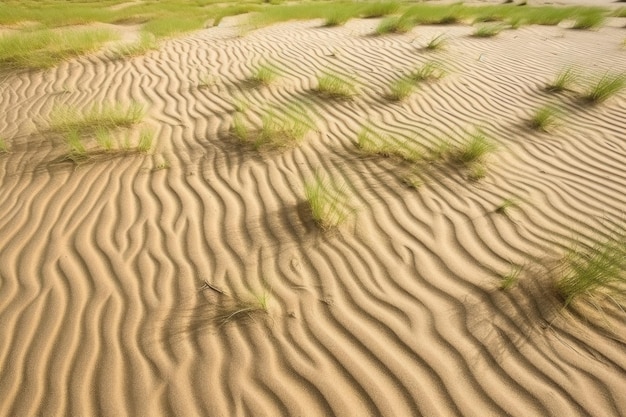 Gras- und Sandmuster in einem Dünengebiet