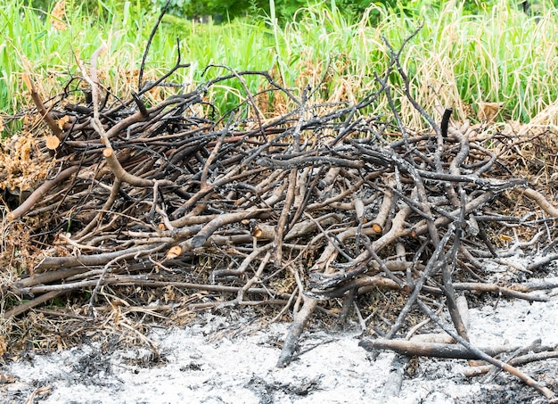 Gras und Zweig verbrannten Bereich in Ödland