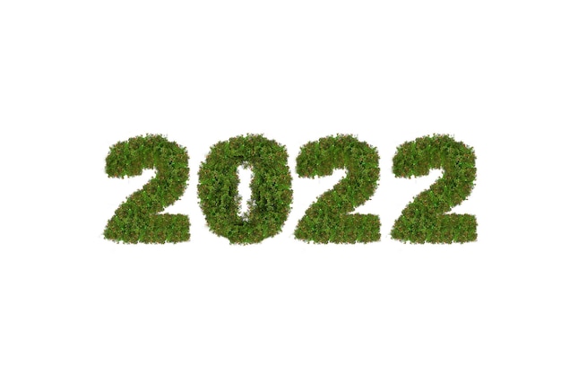 Gras von 2022. Frohes neues Jahr 2022