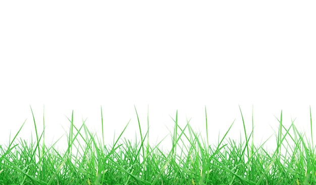 Gras Wiese Unkraut