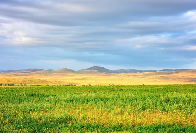 Grasbewachsene Hügel am Horizont unter einem bewölkten Himmel Sibirien Russland