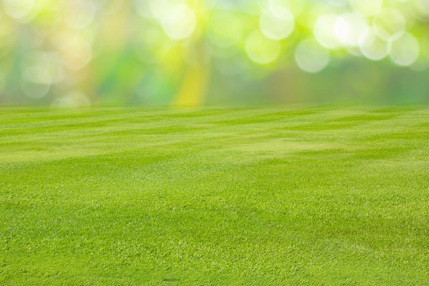 Grasfeld auf Naturfrühlingsjahreszeithintergrundbeschaffenheit