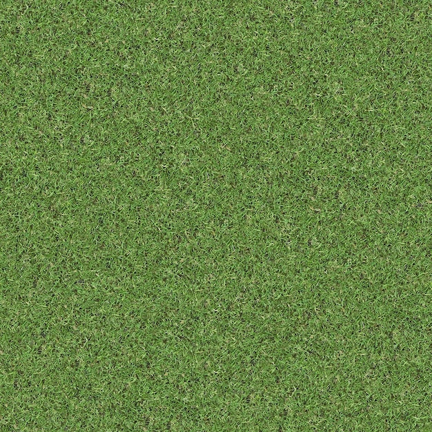 Graspflanzen