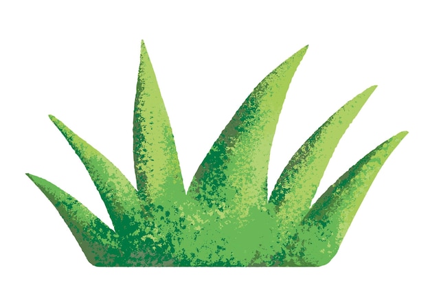 Grass png clipart diseño de pintura digital semi real de fondo transparente