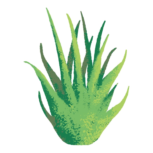 Grass png clipart diseño de pintura digital semi real de fondo transparente