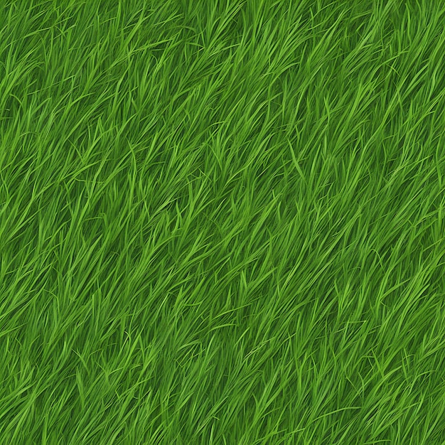 Grass textura